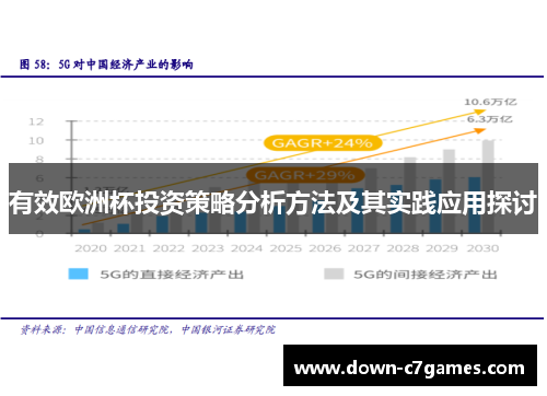 有效欧洲杯投资策略分析方法及其实践应用探讨
